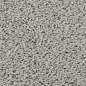 Preview: Frisé - Manduro - 004